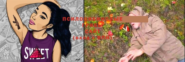 MESCALINE Белокуриха