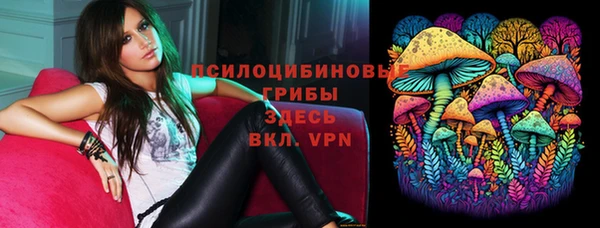 MESCALINE Белокуриха
