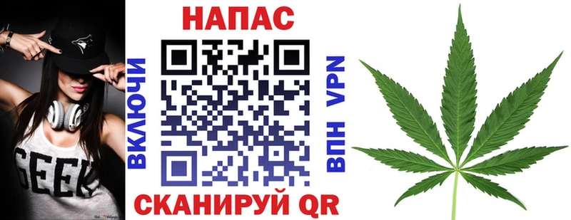 Купить закладки  Нелидово  Конопля сатива 